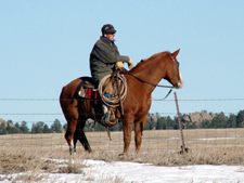 USA-Wyoming-Two Creek Ranch Round Up